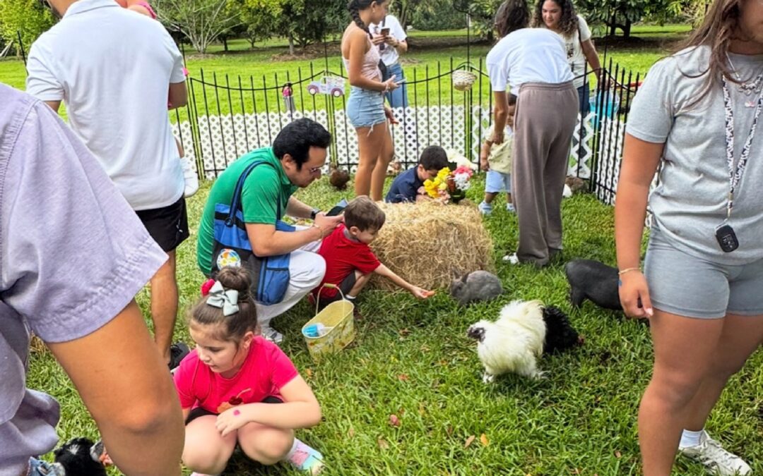 Picnic Willy Foundation April 2025